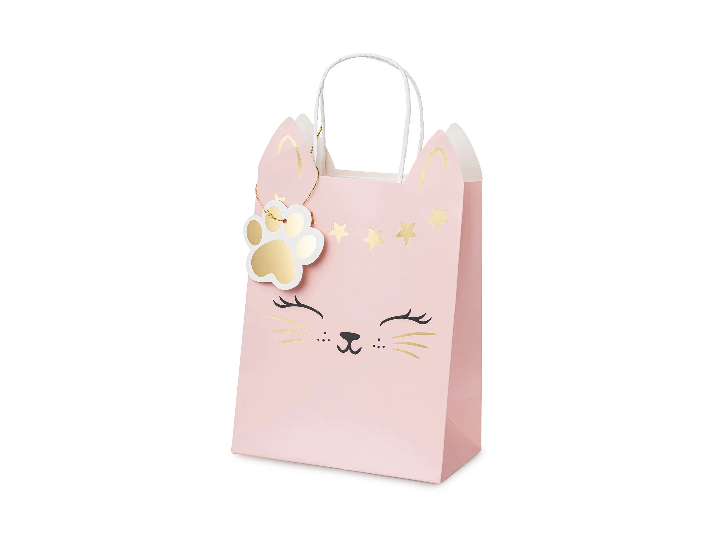 PARTYDECO Geschenktüte Katze mit Henkel – 18x10x27 cm, Hellrosa/Gold